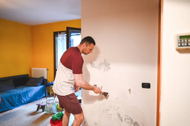 Best Affordable Mold Removal  in Teutopolis, IL